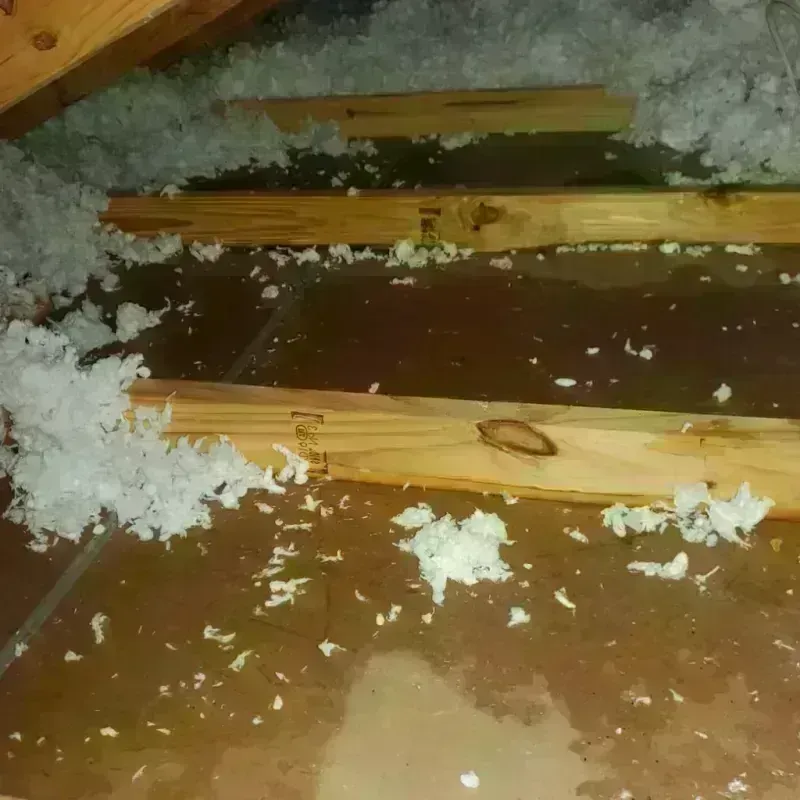 Attic Water Damage in Haverhill, FL