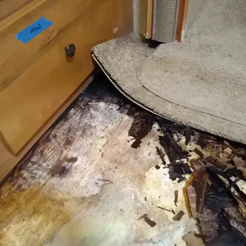 Wood Floor Water Damage in Haverhill, FL